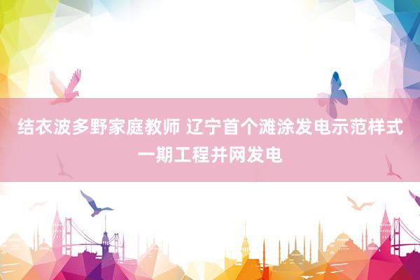 结衣波多野家庭教师 辽宁首个滩涂发电示范样式一期工程并网发电