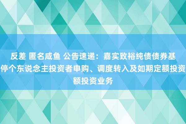反差 匿名咸鱼 公告速递：嘉实致裕纯债债券基金暂停个东说念主投资者申购、调度转入及如期定额投资业务