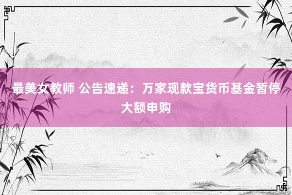 最美女教师 公告速递：万家现款宝货币基金暂停大额申购