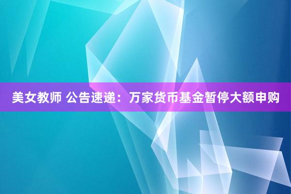 美女教师 公告速递：万家货币基金暂停大额申购