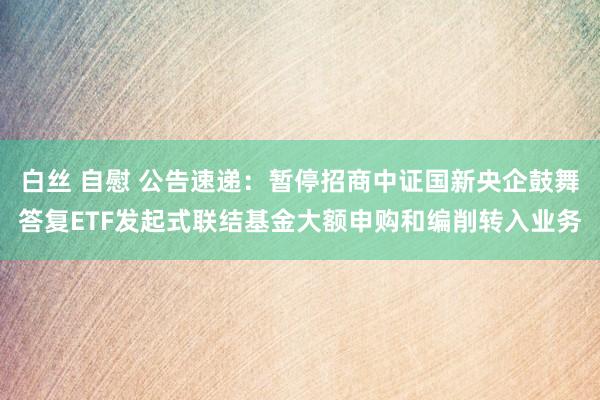 白丝 自慰 公告速递：暂停招商中证国新央企鼓舞答复ETF发起式联结基金大额申购和编削转入业务