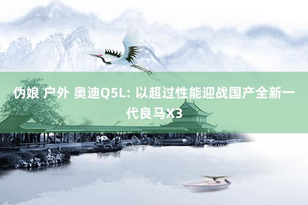 伪娘 户外 奥迪Q5L: 以超过性能迎战国产全新一代良马X3
