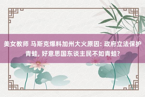 美女教师 马斯克爆料加州大火原因: 政府立法保护青蛙， 好意思国东谈主民不如青蛙?