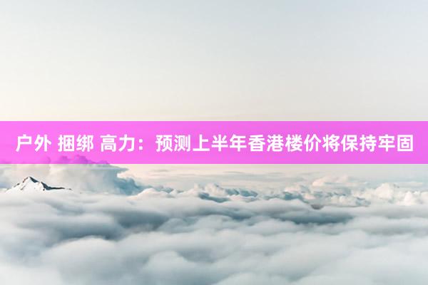 户外 捆绑 高力：预测上半年香港楼价将保持牢固