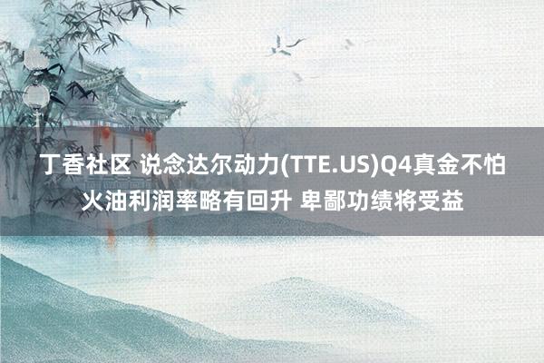 丁香社区 说念达尔动力(TTE.US)Q4真金不怕火油利润率略有回升 卑鄙功绩将受益