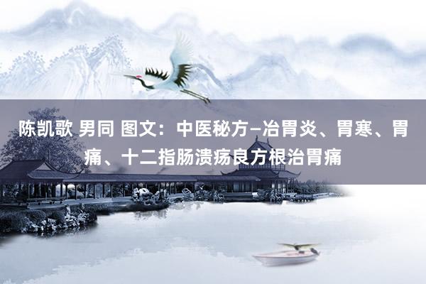 陈凯歌 男同 图文：中医秘方—冶胃炎、胃寒、胃痛、十二指肠溃疡良方根治胃痛