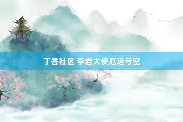丁香社区 李岩大使厄运亏空