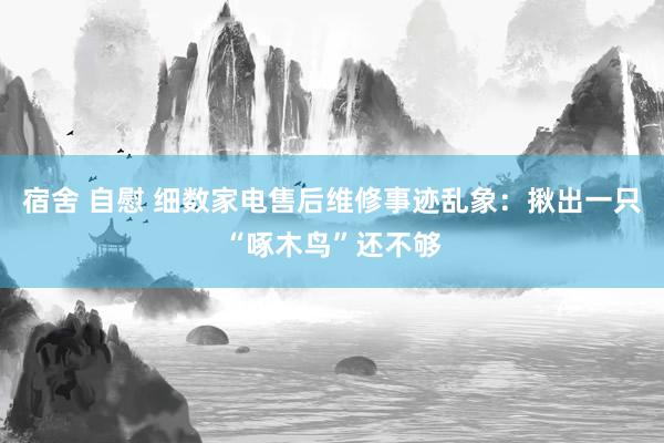宿舍 自慰 细数家电售后维修事迹乱象：揪出一只“啄木鸟”还不够