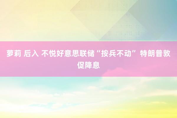 萝莉 后入 不悦好意思联储“按兵不动” 特朗普敦促降息