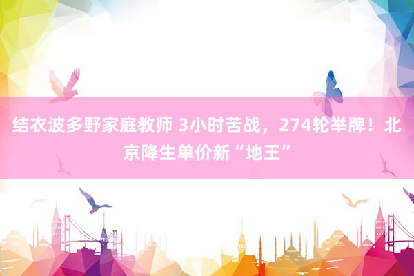 结衣波多野家庭教师 3小时苦战，274轮举牌！北京降生单价新“地王”