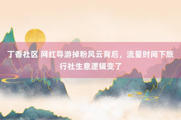 丁香社区 网红导游掉粉风云背后，流量时间下旅行社生意逻辑变了