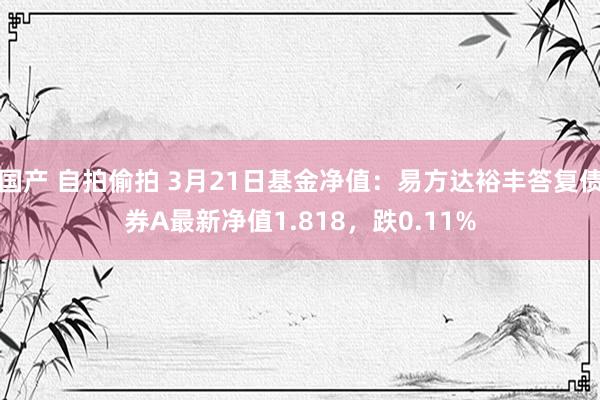 国产 自拍偷拍 3月21日基金净值：易方达裕丰答复债券A最新净值1.818，跌0.11%