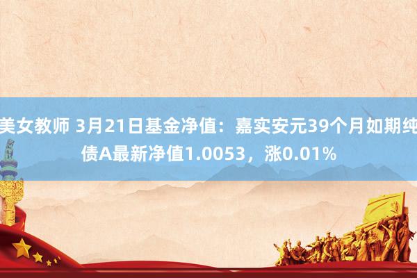 美女教师 3月21日基金净值：嘉实安元39个月如期纯债A最新净值1.0053，涨0.01%