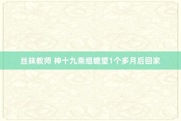 丝袜教师 神十九乘组瞻望1个多月后回家