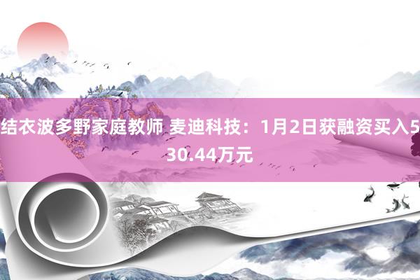 结衣波多野家庭教师 麦迪科技：1月2日获融资买入530.44万元