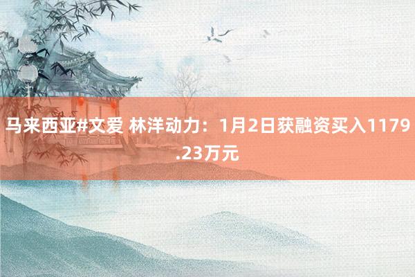马来西亚#文爱 林洋动力：1月2日获融资买入1179.23万元