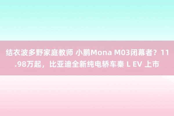 结衣波多野家庭教师 小鹏Mona M03闭幕者？11.98万起，比亚迪全新纯电轿车秦 L EV 上市