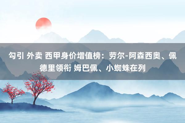 勾引 外卖 西甲身价增值榜：劳尔-阿森西奥、佩德里领衔 姆巴佩、小蜘蛛在列