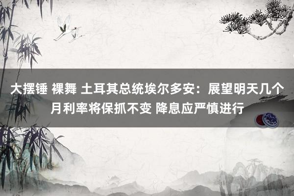 大摆锤 裸舞 土耳其总统埃尔多安：展望明天几个月利率将保抓不变 降息应严慎进行