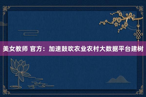 美女教师 官方：加速鼓吹农业农村大数据平台建树