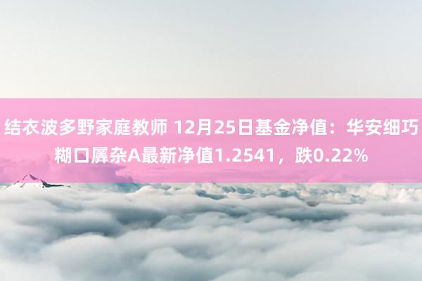 结衣波多野家庭教师 12月25日基金净值：华安细巧糊口羼杂A最新净值1.2541，跌0.22%