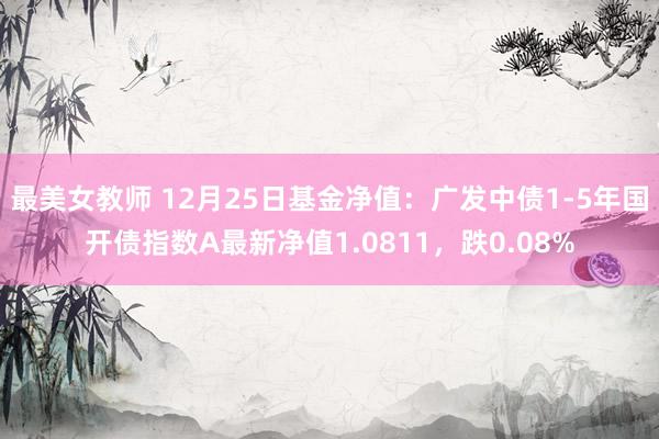 最美女教师 12月25日基金净值：广发中债1-5年国开债指数A最新净值1.0811，跌0.08%