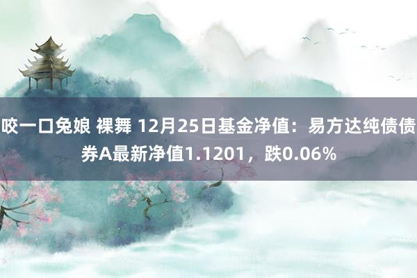 咬一口兔娘 裸舞 12月25日基金净值：易方达纯债债券A最新净值1.1201，跌0.06%