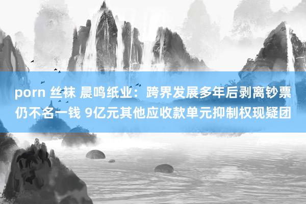porn 丝袜 晨鸣纸业：跨界发展多年后剥离钞票仍不名一钱 9亿元其他应收款单元抑制权现疑团