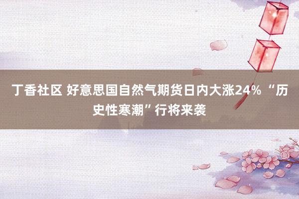 丁香社区 好意思国自然气期货日内大涨24% “历史性寒潮”行将来袭