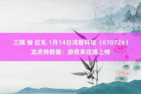 三隅 倫 巨乳 1月14日鸿智科技（870726）龙虎榜数据：游资来往猿上榜