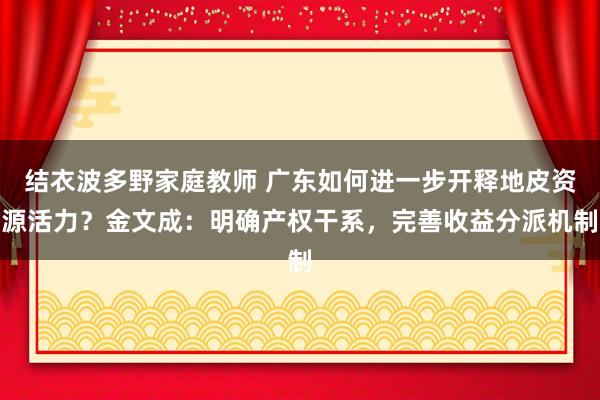 结衣波多野家庭教师 广东如何进一步开释地皮资源活力？金文成：明确产权干系，完善收益分派机制