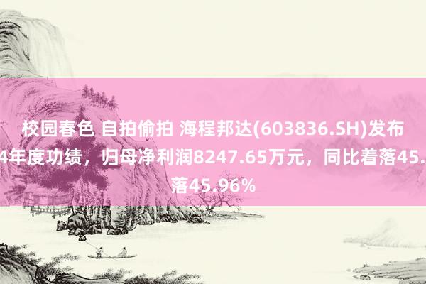 校园春色 自拍偷拍 海程邦达(603836.SH)发布2024年度功绩，归母净利润8247.65万元，同比着落45.96%