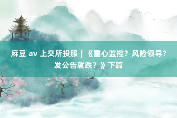 麻豆 av 上交所投服∣《重心监控？风险领导？发公告就跌？》下篇