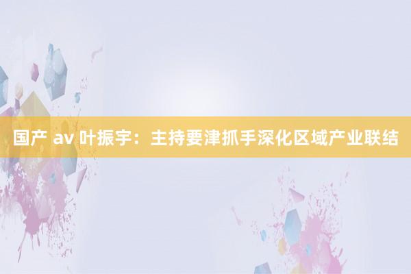 国产 av 叶振宇：主持要津抓手深化区域产业联结