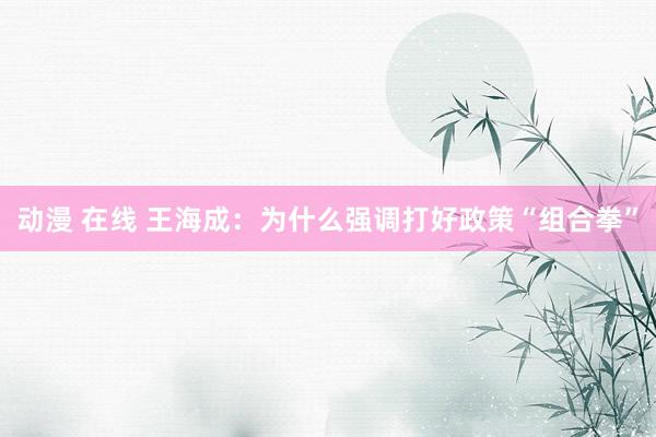 动漫 在线 王海成：为什么强调打好政策“组合拳”