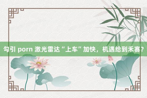 勾引 porn 激光雷达“上车”加快，机遇给到禾赛？