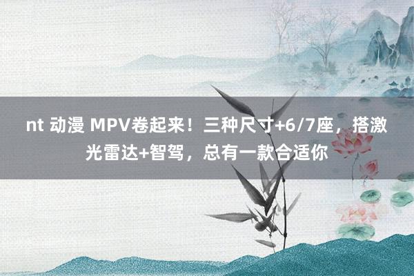 nt 动漫 MPV卷起来！三种尺寸+6/7座，搭激光雷达+智驾，总有一款合适你